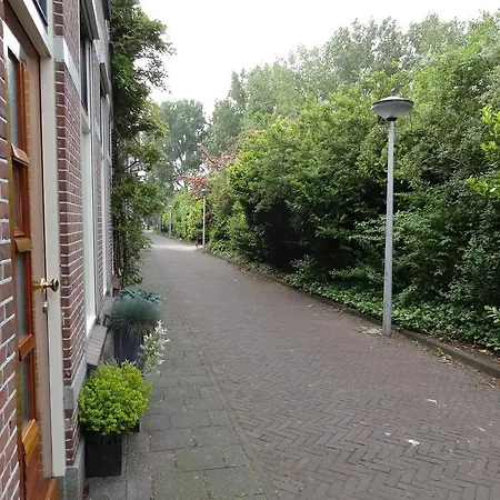 City Center Leiden
